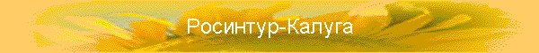 Росинтур-Калуга